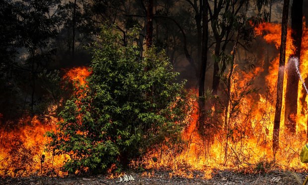 Australia Is Burning and Demand for 'Climate Lawyers' Is Rising