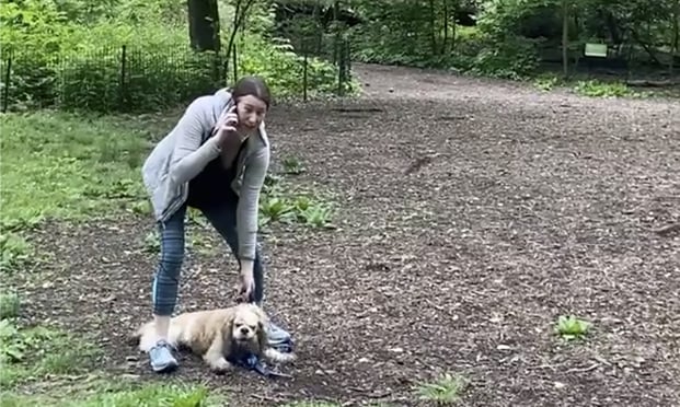 This image made from Monday, May 25, 2020, video provided by Christian Cooper shows Amy Cooper with her dog calling police at Central Park in New York. A video of a verbal dispute between Amy Cooper, walking her dog off a leash and Christian Cooper, a black man bird watching in Central Park, is sparking accusations of racism. 