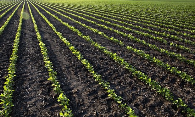 With 265M Dicamba Verdict Monsanto Faces Another Herbicide Problem