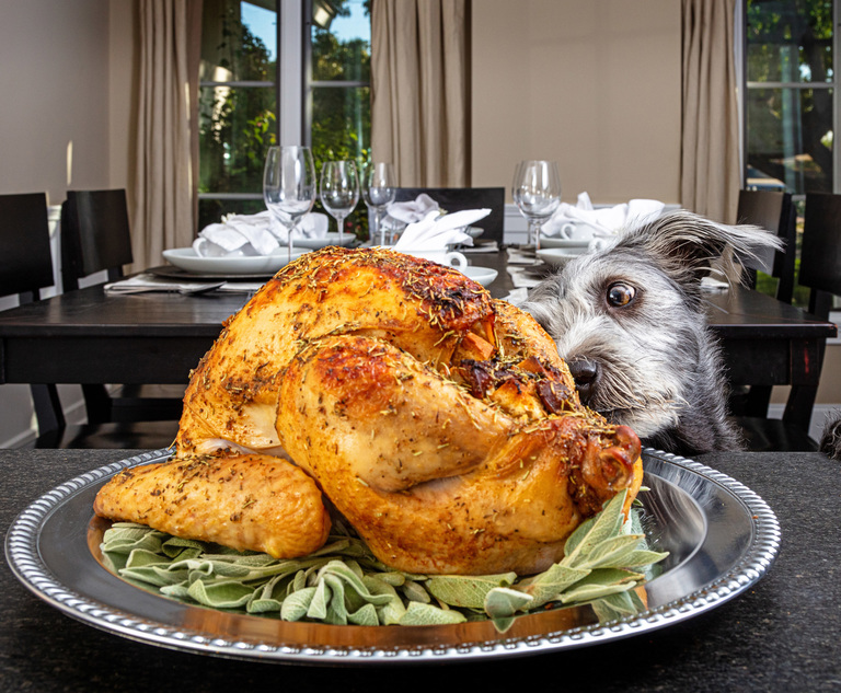 No Turkeys: A Pre Thanksgiving Week Batch of Litigator of the Week Runners Up and Shout Outs