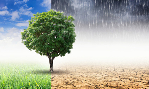 How Climate Change will Impact Insurers in 2021