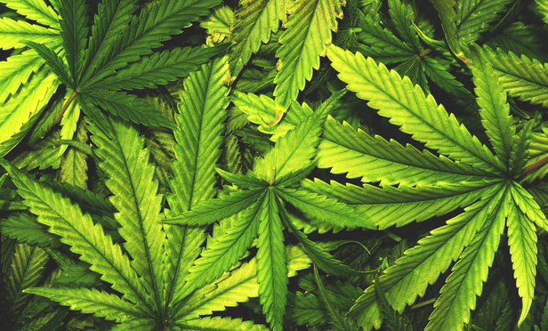 California Prepares to Ramp Up Push for Marijuana Rules